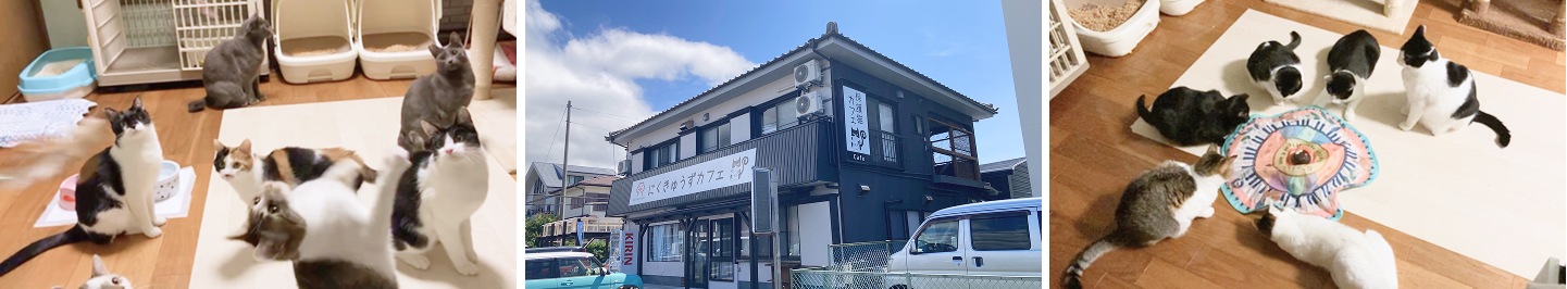 にくきゅうずカフェの外観と内観写真