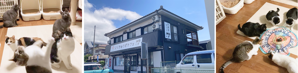 にくきゅうずカフェの外観と内観写真